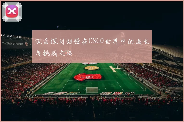 深度探讨刘强在CSGO世界中的成长与挑战之路