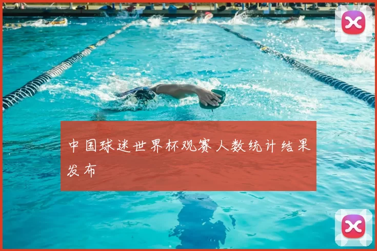 中国球迷世界杯观赛人数统计结果发布