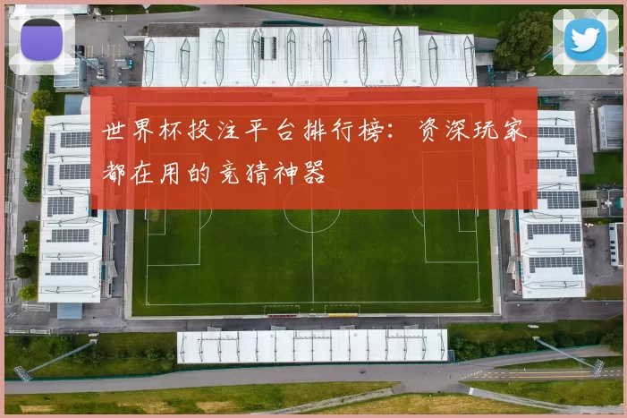 世界杯投注平台排行榜：资深玩家都在用的竞猜神器