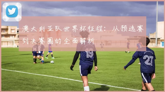 澳大利亚队世界杯征程:从预选赛到决赛圈的全面解析
