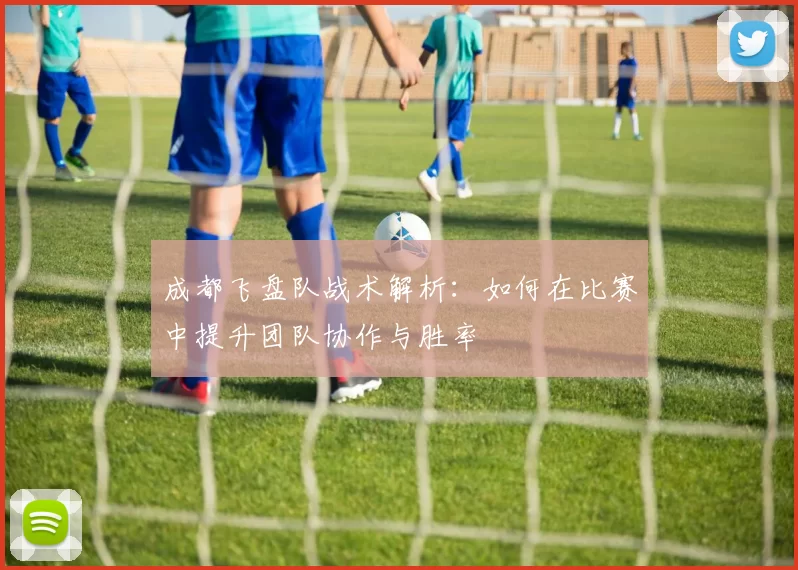 成都飞盘队战术解析:如何在比赛中提升团队协作与胜率
