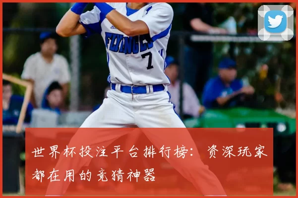 世界杯投注平台排行榜：资深玩家都在用的竞猜神器