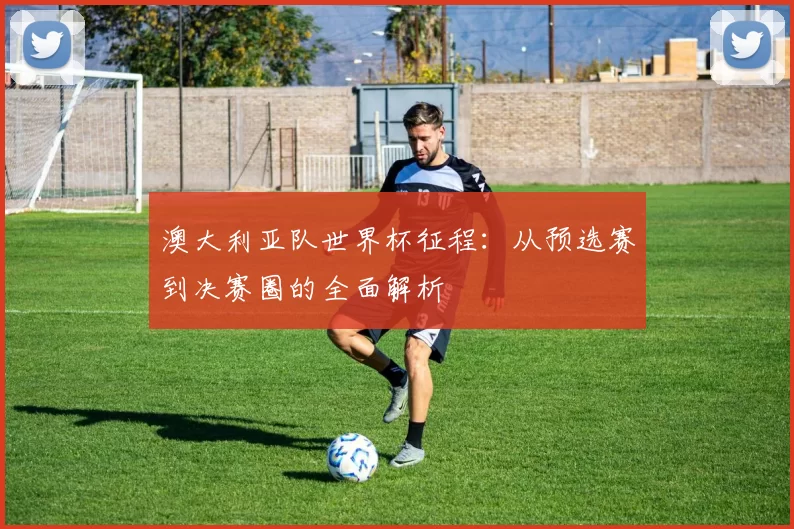澳大利亚队世界杯征程:从预选赛到决赛圈的全面解析
