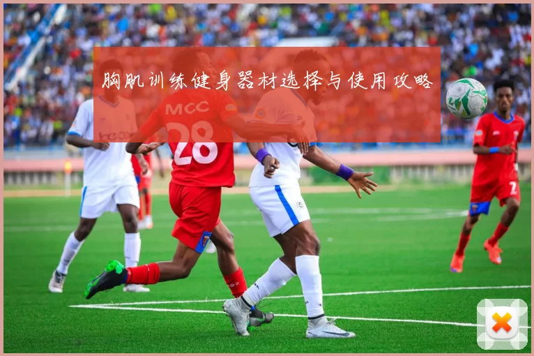胸肌训练健身器材选择与使用攻略