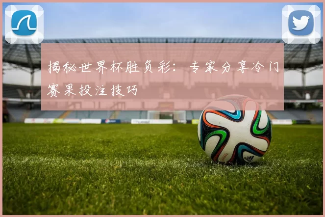 揭秘世界杯胜负彩：专家分享冷门赛果投注技巧