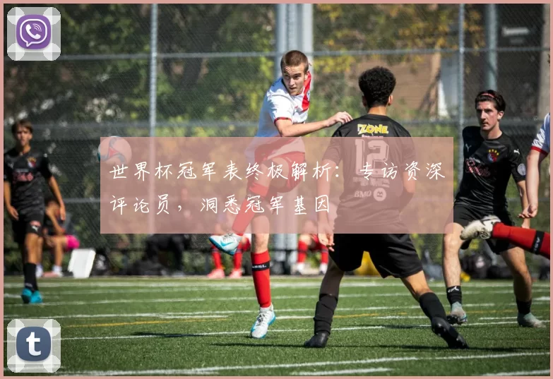 世界杯冠军表终极解析:专访资深评论员,洞悉冠军基因