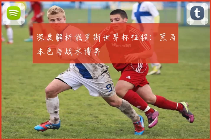 深度解析俄罗斯世界杯征程：黑马本色与战术博弈