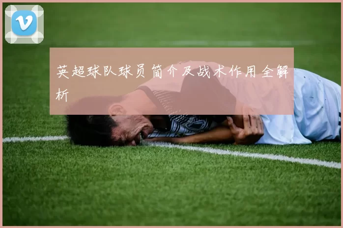 英超球队球员简介及战术作用全解析