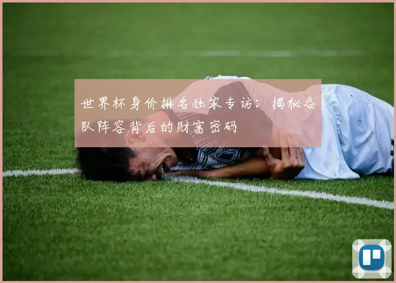 世界杯身价排名独家专访：揭秘各队阵容背后的财富密码