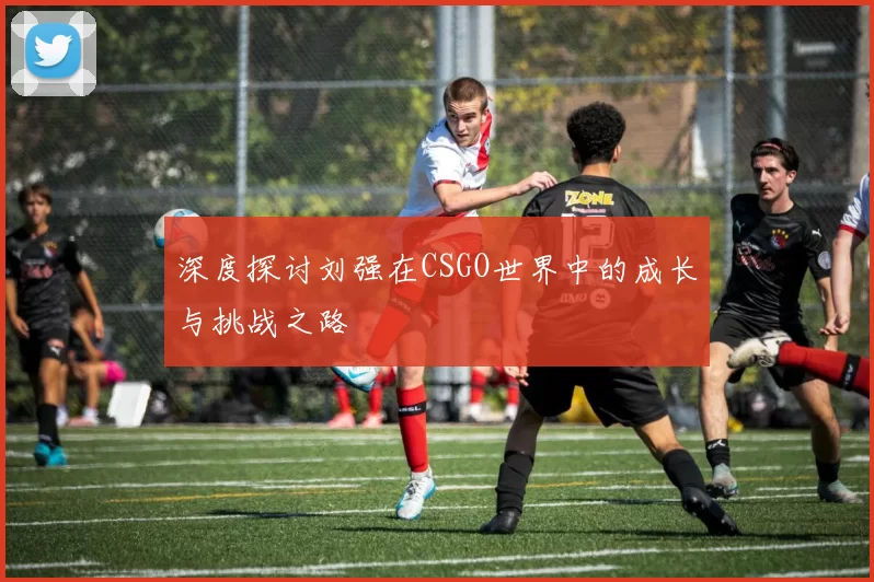 深度探讨刘强在CSGO世界中的成长与挑战之路