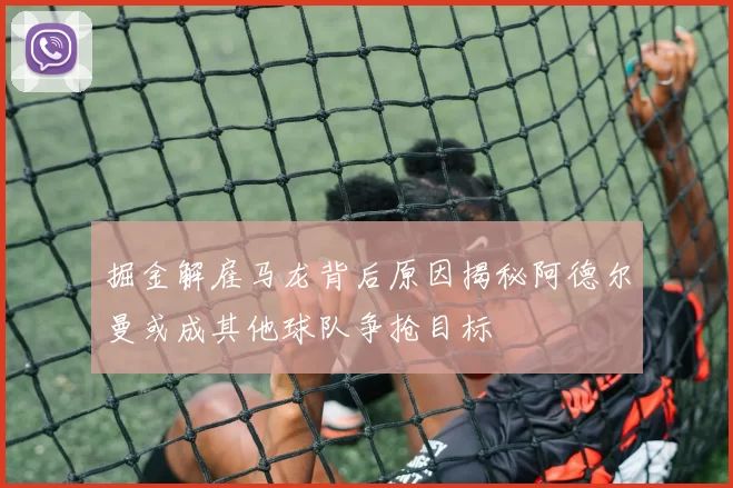 掘金解雇马龙背后原因揭秘阿德尔曼或成其他球队争抢目标