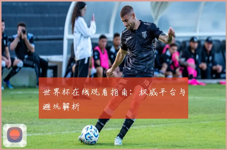 世界杯在线观看指南：权威平台与避坑解析