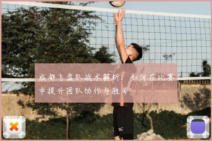 成都飞盘队战术解析：如何在比赛中提升团队协作与胜率