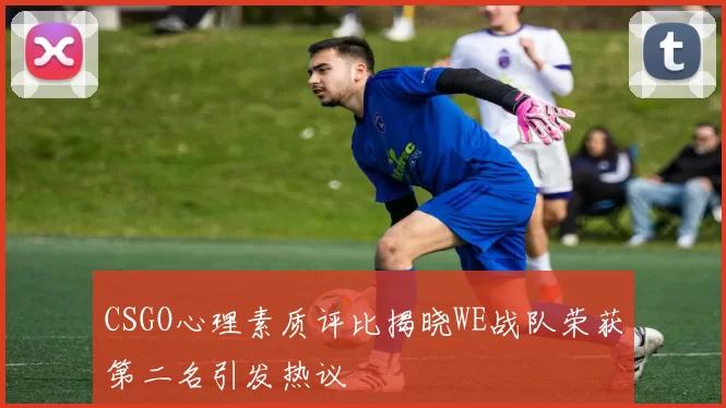 CSGO心理素质评比揭晓WE战队荣获第二名引发热议