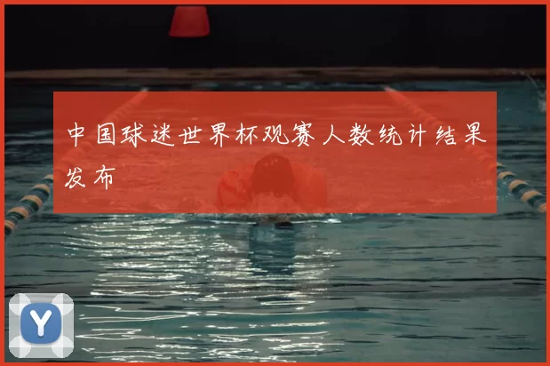 中国球迷世界杯观赛人数统计结果发布