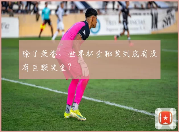 除了荣誉,世界杯金靴奖到底有没有巨额奖金?