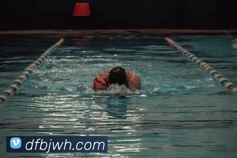 九游体育平台生态图